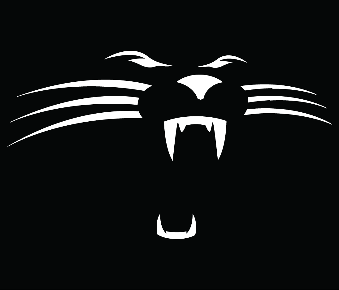 Carolina Panthers 1995-2011 Alternate Logo t shirts iron on transfers